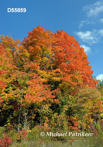 Algonquin Provincial Park, Ontario